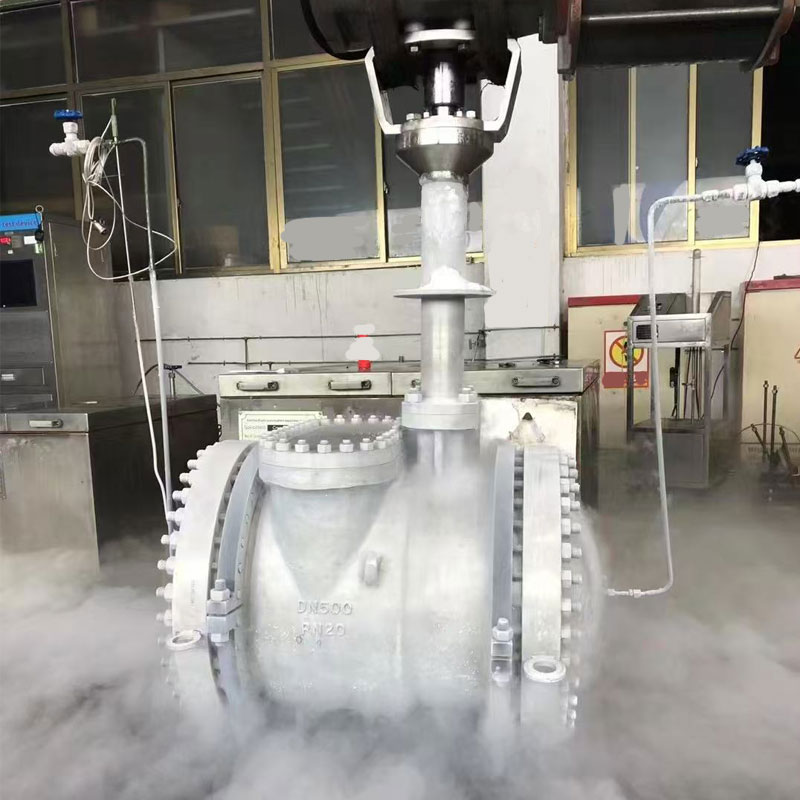 Severn 8000 Cryogenic Butterfly Valve
