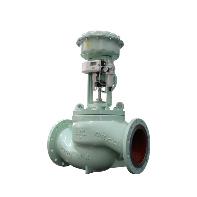 Single seat control valve with positioner and fliter