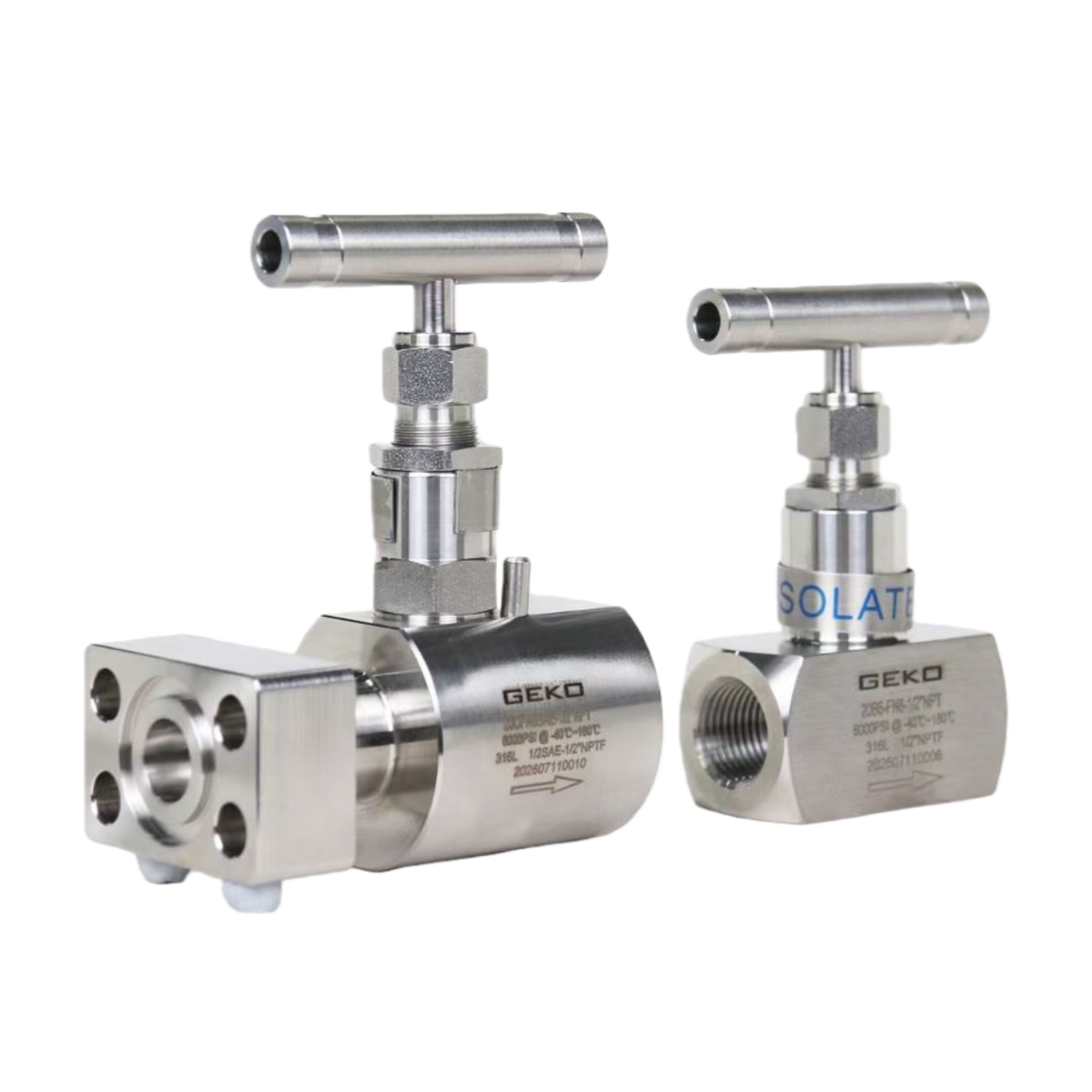 Hydrogen Needle Valve GEKO 20B6-FN8