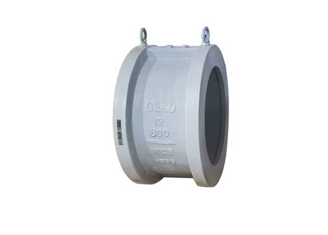 Function and Design of Check Valve