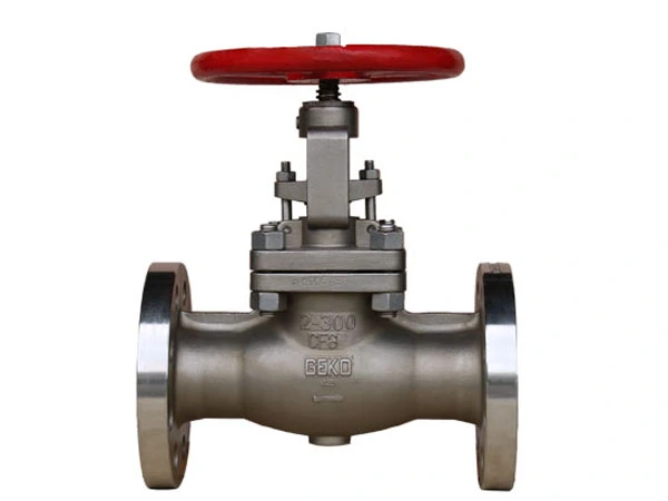 Globe Valves vs Gate Valves