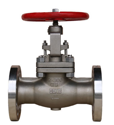 Globe_Valves_vs_Gate_Valves-1.jpg