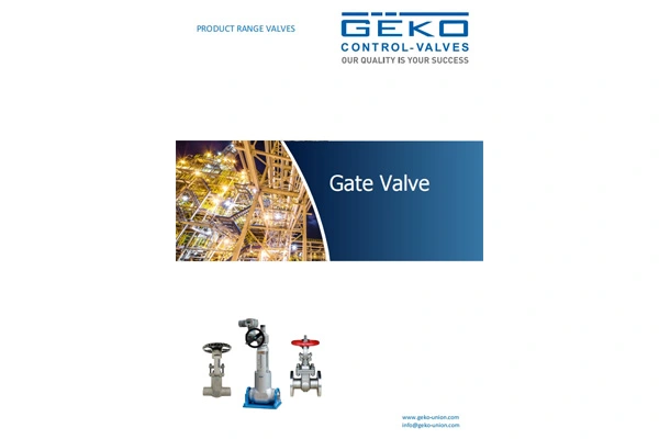 Gate Valve